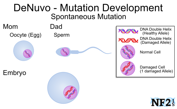 Cell Development