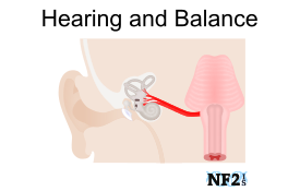 Hearing and Balance Issues