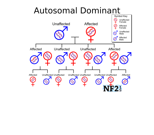 Genetics, Autosomal Dominant