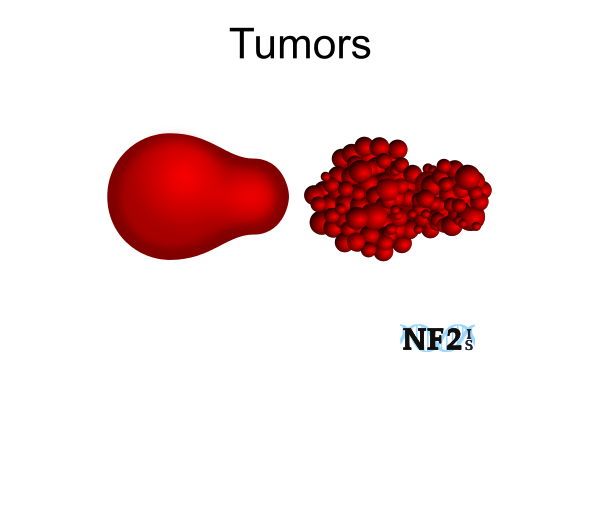 Tumors