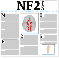 NF2 Issue