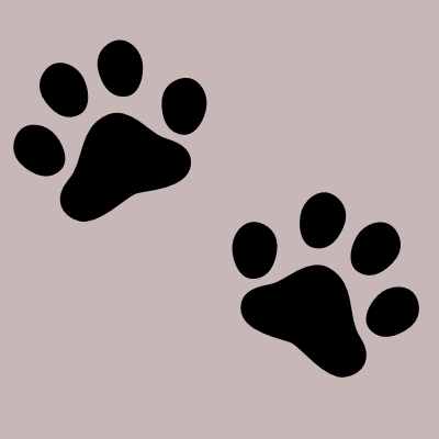 Dog, Paws
